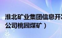 淮北矿业集团信息开发分公司（淮北矿业集团公司桃园煤矿）