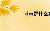 dm是什么意思（DM）