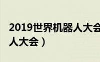 2019世界机器人大会冠军赛（2019世界机器人大会）