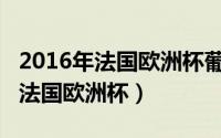 2016年法国欧洲杯葡萄牙vs匈牙利（2016年法国欧洲杯）