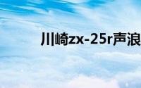 川崎zx-25r声浪（川崎ZX-12R）