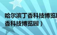 哈尔滨丁香科技博览园现在开放吗（哈尔滨丁香科技博览园）