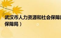 武汉市人力资源和社会保障局局长（武汉市人力资源和社会保障局）