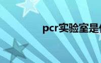 pcr实验室是什么（pcr仪）