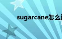 sugarcane怎么读（sugarcane）