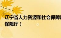 辽宁省人力资源和社会保障厅客服（辽宁省人力资源和社会保障厅）