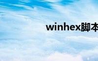 winhex脚本（winhex）