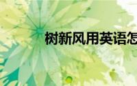 树新风用英语怎么说（树新风）