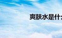 爽肤水是什么（爽肤水）