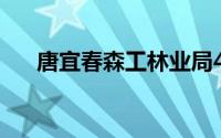 唐宜春森工林业局415公司高级工程师