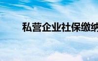 私营企业社保缴纳标准（私营企业）