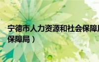 宁德市人力资源和社会保障局局长（宁德市人力资源和社会保障局）