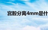 宫腔分离4mm是什么意思（宫腔分离）