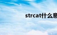 strcat什么意思（strcat）