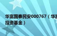 华富国泰民安000767（华富国泰民安灵活配置混合型证券投资基金）