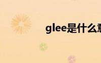 glee是什么意思（GLEE）