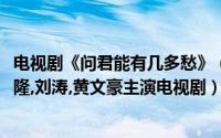 电视剧《问君能有几多愁》（问君能有几多愁（2005年吴奇隆,刘涛,黄文豪主演电视剧））