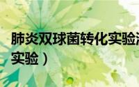 肺炎双球菌转化实验流程图（肺炎双球菌转化实验）