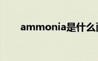 ammonia是什么面料（ammonia）