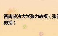 西南政法大学张力教授（张剑波 西南政法大学国际法学院副教授）