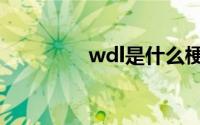 wdl是什么梗（wdl文件）