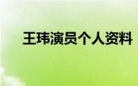 王玮演员个人资料（王玮 内地男演员）