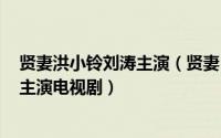 贤妻洪小铃刘涛主演（贤妻 2013年刘涛、保剑锋、洪小铃主演电视剧）