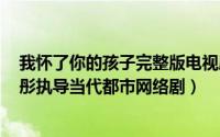 我怀了你的孩子完整版电视剧（我怀了你的孩子 2013年郭彤执导当代都市网络剧）