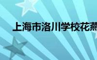 上海市洛川学校花燕（上海市洛川学校）