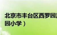 北京市丰台区西罗园洋桥（北京市丰台区西罗园小学）