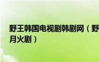 野王韩国电视剧韩剧网（野王 韩国2013年权相佑主演SBS月火剧）