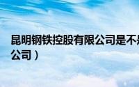 昆明钢铁控股有限公司是不是上市公司（昆明钢铁控股有限公司）