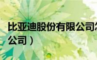 比亚迪股份有限公司怎么样（比亚迪股份有限公司）