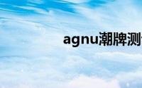 agnu潮牌测评（Agnus）