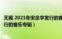 无视 2021年宋念宇发行的音乐专辑（无视 2021年宋念宇发行的音乐专辑）