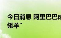 今日消息 阿里巴巴成立企业数智服务公司“瓴羊”