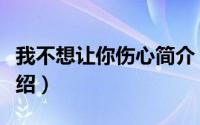 我不想让你伤心简介（关于不让你伤心详细介绍）