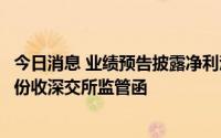 今日消息 业绩预告披露净利润与实际差异幅度较大，三圣股份收深交所监管函