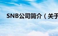 SNB公司简介（关于SNB平台详细介绍）