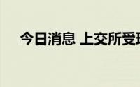 今日消息 上交所受理国富氢能上市申请