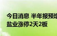 今日消息 半年报预增概念股异动拉升，雪天盐业涨停2天2板