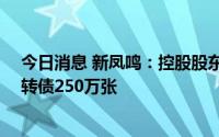 今日消息 新凤鸣：控股股东及其一致行动人合计减持凤21转债250万张