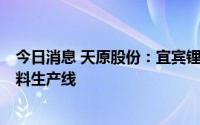 今日消息 天原股份：宜宾锂宝今年将扩建2万吨三元正极材料生产线