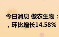 今日消息 傲农生物：6月销售生猪48.69万头，环比增长14.58%