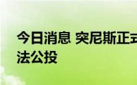 今日消息 突尼斯正式宣布在7月25日举行宪法公投