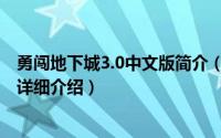 勇闯地下城3.0中文版简介（关于勇闯地下城2.7中文无敌版详细介绍）