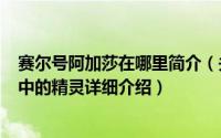 赛尔号阿加莎在哪里简介（关于阿加莎 网页游戏《赛尔号》中的精灵详细介绍）