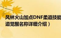 风林火山加点DNF柔道技能简介（关于风林火山 DNF男柔道觉醒名称详细介绍）