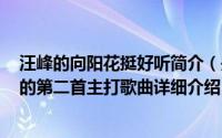 汪峰的向阳花挺好听简介（关于向阳花 汪峰的2011年专辑的第二首主打歌曲详细介绍）