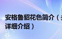 安格鲁貂花色简介（关于火焰色安哥鲁宠物貂详细介绍）